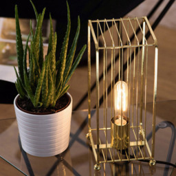 Premier Housewares Deco Gold Finish Table Lamp - Size: 15 x 13 x 30cm - Wilko - thumbnail 3