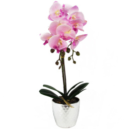 Botanik Light Pink Phalaenopsis Orchid Artificial Plant in Silver Pot 50cm - Size: 50 x 20 x 20cm - Wilko