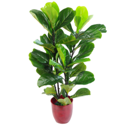 Leaf Ficus Lyrata Artificial Plant in Pot 90cm - Size: 90 x 40 x 40cm - Green - Wilko - thumbnail 3