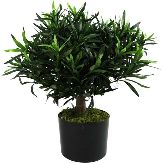 Botanik Podocarpus Bush Artificial Plant in Pot 40cm - Size: 40 x 40 x 40cm - Green - Wilko - image 1