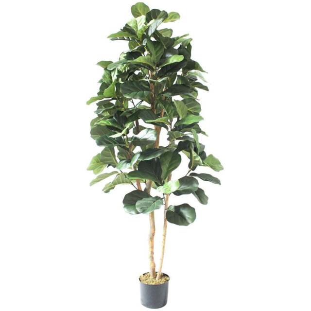 Botanik Deluxe Fiddle Fig Artificial Tree in Pot 6ft - Size: 180 x 60 x 60cm - Green - Wilko - image 1