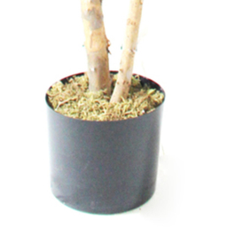 Botanik Deluxe Fiddle Fig Artificial Tree in Pot 6ft - Size: 180 x 60 x 60cm - Green - Wilko - thumbnail 4