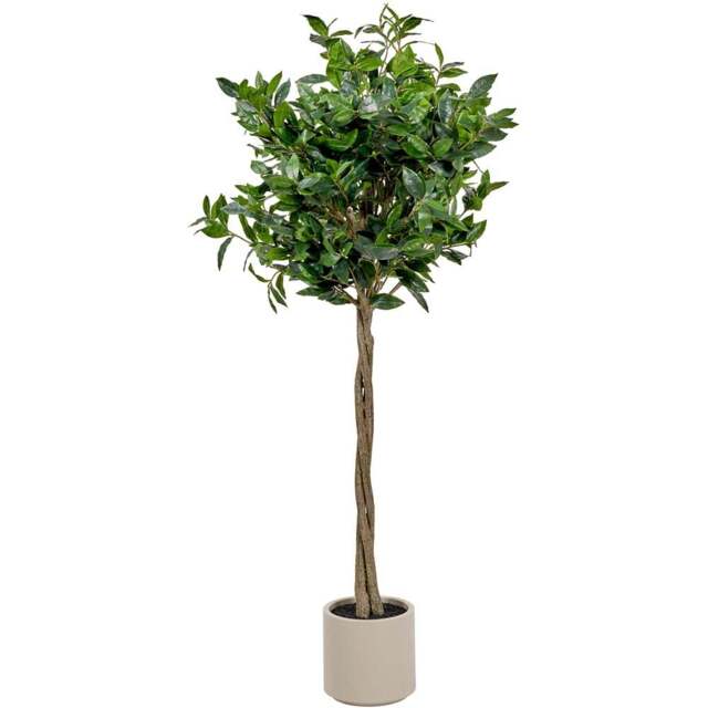Pacific Lifestyle Bay Artificial Tree in White Pot 5ft - Size: 150 x 70 x 70cm - Green - Wilko - image 1