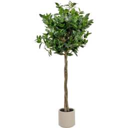 Pacific Lifestyle Bay Artificial Tree in White Pot 5ft - Size: 150 x 70 x 70cm - Green - Wilko