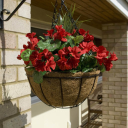 GreenBrokers Artificial Red Geraniums Round Coco Coir Hanging Plant Baskets 2 Pack - Size: 25 x 34 x 52cm - Wilko - thumbnail 3
