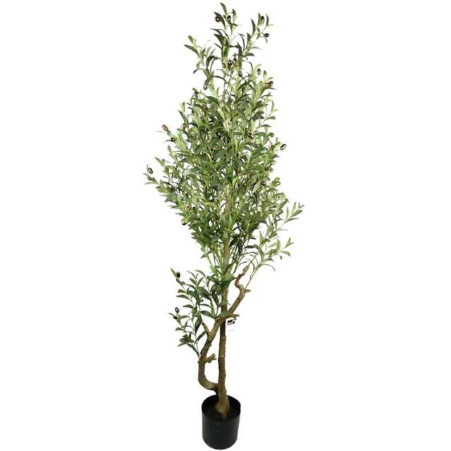Botanik Olive Bush Artificial Tree in Pot 5.5ft - Size: 160 x 60 x 60cm - Green - Wilko - image 1
