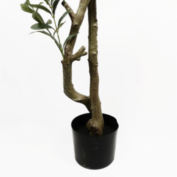 Botanik Olive Bush Artificial Tree in Pot 5.5ft - Size: 160 x 60 x 60cm - Green - Wilko - thumbnail 4