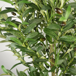 Botanik Olive Bush Artificial Tree in Pot 5.5ft - Size: 160 x 60 x 60cm - Green - Wilko - thumbnail 6