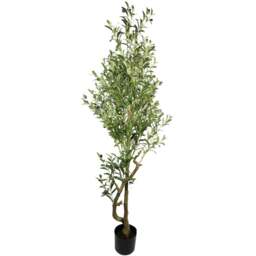 Botanik Olive Bush Artificial Tree in Pot 5.5ft - Size: 160 x 60 x 60cm - Green - Wilko - thumbnail 1