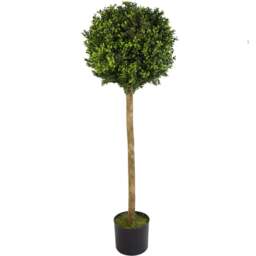 Botanik Boxwood Buxus Ball Topiary Artificial Tree with Real Wood Trunk in Pot 5ft - Size: 120 x 40 x 40cm - Green - Wilko - thumbnail 1