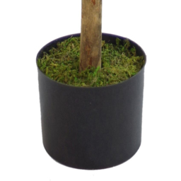 Botanik Boxwood Buxus Ball Topiary Artificial Tree with Real Wood Trunk in Pot 5ft - Size: 120 x 40 x 40cm - Green - Wilko - thumbnail 3