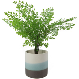 Botanik Blue Sand Stripe Ceramic Planter 12cm - Size: 12 x 12 x 12cm - Wilko - thumbnail 3