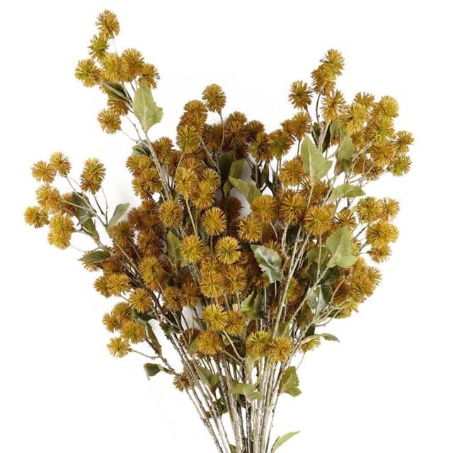 Leaf Yellow Craspedia Single Stem Artificial Flower 6 Pack - Size: 85 x 25 x 25cm - Wilko - image 1
