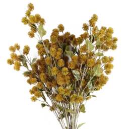 Leaf Yellow Craspedia Single Stem Artificial Flower 6 Pack - Size: 85 x 25 x 25cm - Wilko