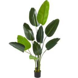 tectake Artificial Bird of Paradise Tree in Pot 160cm - Size: 160 x 25 x 25cm - Green - Wilko