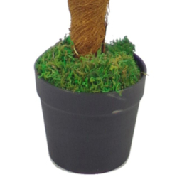 Leaf Princess Palm Artificial Tree with Natural Trunk 130cm - Size: 130 x 70 x 70cm - Green - Wilko - thumbnail 3