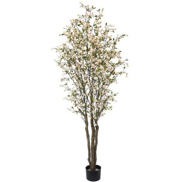 Leaf Cherry Blossom Artificial Tree in Pot 7ft - Size: 210 x 70 x 70cm - Green - Wilko - image 1