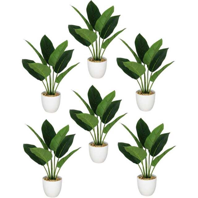 Leaf Aureum Artificial Plant in Pot 45cm 6 Pack - Size: 45 x 30 x 30cm - Green - Wilko - image 1