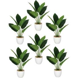 Leaf Aureum Artificial Plant in Pot 45cm 6 Pack - Size: 45 x 30 x 30cm - Green - Wilko - thumbnail 1