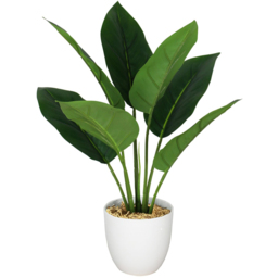 Leaf Aureum Artificial Plant in Pot 45cm 6 Pack - Size: 45 x 30 x 30cm - Green - Wilko - thumbnail 4