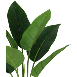 Leaf Aureum Artificial Plant in Pot 45cm 6 Pack - Size: 45 x 30 x 30cm - Green - Wilko - thumbnail 5