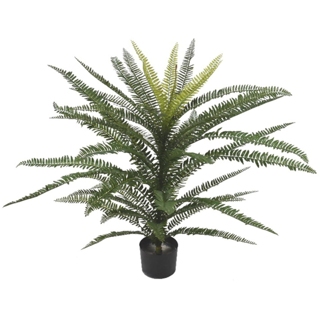 Leaf Boston Fern Artificial Plant in Pot 2ft - Size: 75 x 80 x 80cm - Green - Wilko - image 1