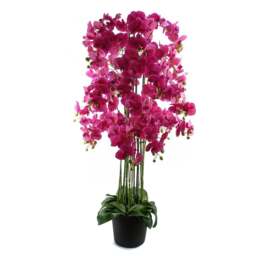 Botanik Giant Pink Orchid Artificial Plant in Pot 5ft - Size: 150 x 70 x 70cm - Dark Pink - Wilko - thumbnail 1