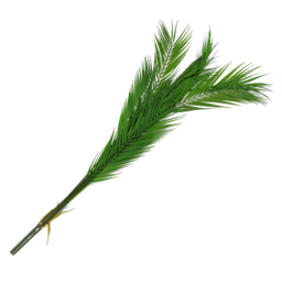 Leaf Artificial Palm Tree 3.8ft - Size: 120 x 50 x 50cm - Green - Wilko - thumbnail 3