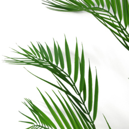 Leaf Artificial Palm Tree 3.8ft - Size: 120 x 50 x 50cm - Green - Wilko - thumbnail 6