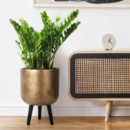 wilko Gold Concrete Effect Indoor Planter with Legs 43cm - Instadecor - thumbnail 3