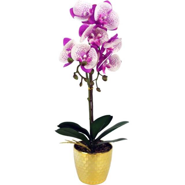Botanik Purple White Phalaenopsis Orchid Artificial Plant in Gold Pot 50cm - Size: 50 x 20 x 20cm - Pink - Wilko - image 1