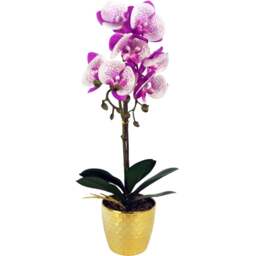 Botanik Purple White Phalaenopsis Orchid Artificial Plant in Gold Pot 50cm - Size: 50 x 20 x 20cm - Pink - Wilko