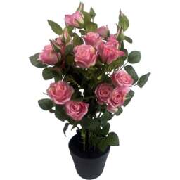 Botanik Rose Bush Artificial Tree in Pot 60cm - Size: 60 x 30 x 30cm - Pink - Wilko - thumbnail 1