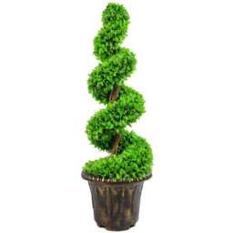 Leaf Artificial Green Large Leaf Spiral with Decorative Planter 90cm - Size: 90 x 35 x 35cm - Wilko - thumbnail 1