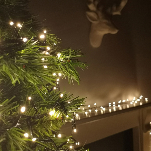 Samuel Alexander 1000 Warm White LED String Light 25m - Size: 2500 x 3cm - Premier Decorations Ltd - Wilko - image 1