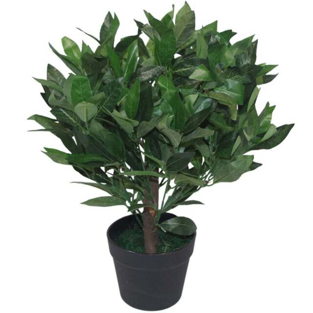 Leaf Dwarf Bay Laurel Artificial Bush 50cm - Size: 50 x 50 x 50cm - Green - Wilko - image 1