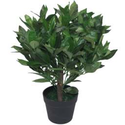 Leaf Dwarf Bay Laurel Artificial Bush 50cm - Size: 50 x 50 x 50cm - Green - Wilko - thumbnail 1