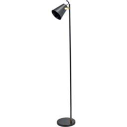 Pacific Lifestyle Theia Black and Brushed Brass Floor Lamp - Wilko