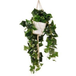Green Nordic Hanging Artificial Plant - Size: 30 x 70 x 30cm - Wilko - thumbnail 1