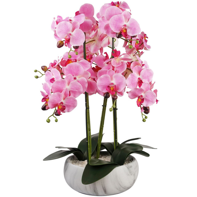 Botanik Pink Orchid Artificial Tree in Marble Effect Ceramic Planter 60cm - Size: 60 x 40 x 40cm - Wilko - image 1