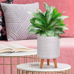 wilko Plaited Style White Indoor Cylinder Plant Pot with Legs 35cm - Instadecor - thumbnail 5