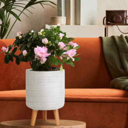 wilko Plaited Style White Indoor Cylinder Plant Pot with Legs 35cm - Instadecor - thumbnail 4