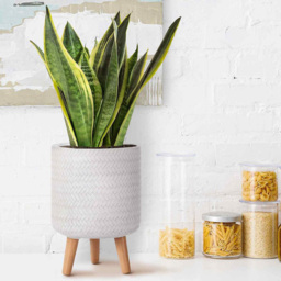 wilko Plaited Style White Indoor Cylinder Plant Pot with Legs 35cm - Instadecor - thumbnail 7