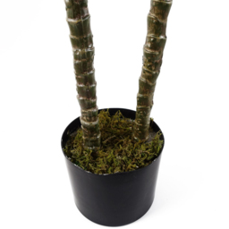 Botanik Tropical Yukka Artificial Tree in Pot 4ft - Size: 120 x 70 x 70cm - Green - Wilko - thumbnail 5
