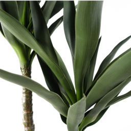 Botanik Tropical Yukka Artificial Tree in Pot 4ft - Size: 120 x 70 x 70cm - Green - Wilko - thumbnail 3