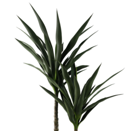 Botanik Tropical Yukka Artificial Tree in Pot 4ft - Size: 120 x 70 x 70cm - Green - Wilko - thumbnail 4