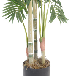 Leaf Artificial Areca Palm Tree in Silver Planter 4ft - Size: 120 x 80 x 80cm - Green - Wilko - thumbnail 5