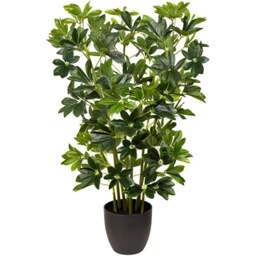 GreenBrokers Artificial Schefflera Indoor Plant in Black Pot - Size: 20 x 40 x 95cm - Wilko - thumbnail 1