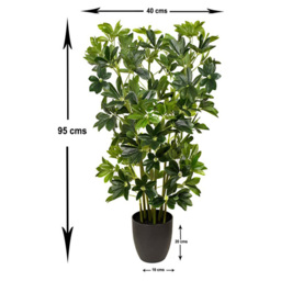 GreenBrokers Artificial Schefflera Indoor Plant in Black Pot - Size: 20 x 40 x 95cm - Wilko - thumbnail 5