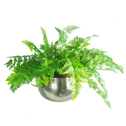 Leaf Hammered Silver Metal Bowl 32 x 20cm - Size: 20 x 30 x 30cm - Wilko - thumbnail 4